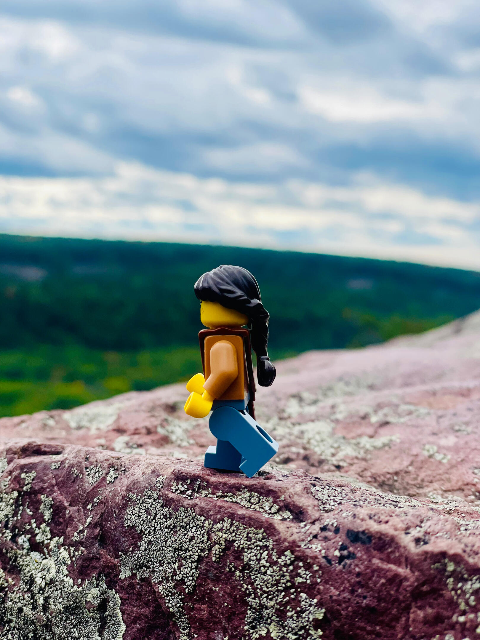 Minifigure Minifigure