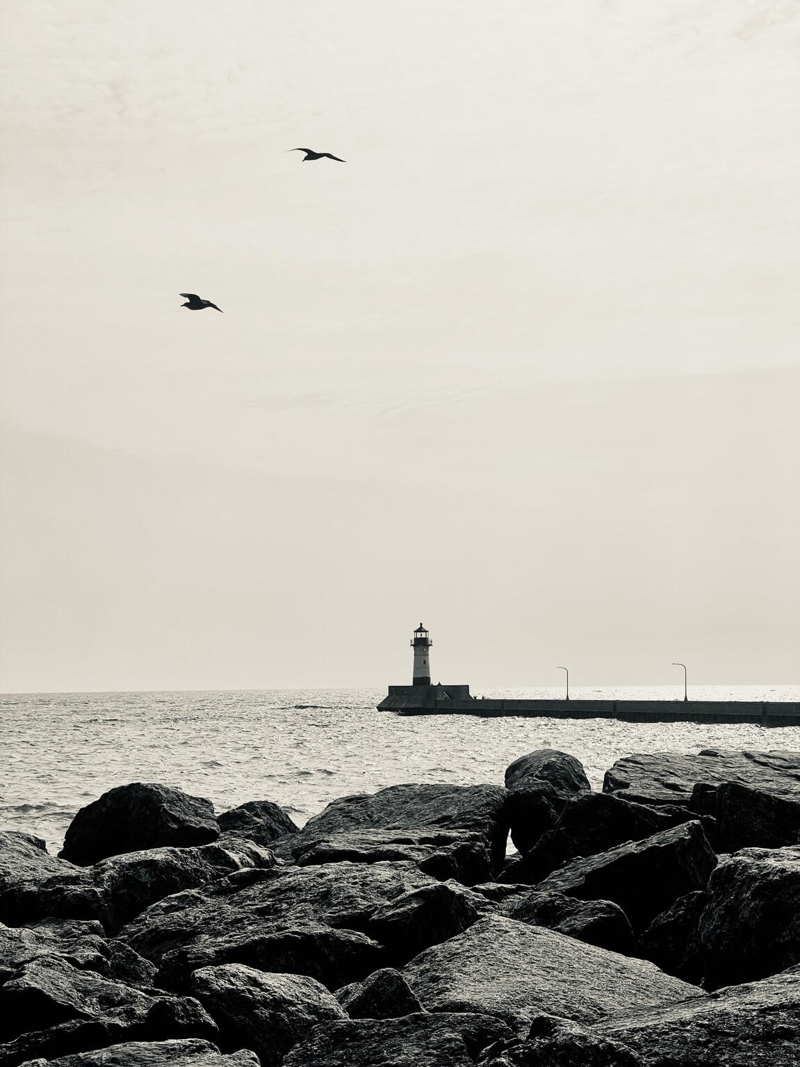 Lighthouse with birds