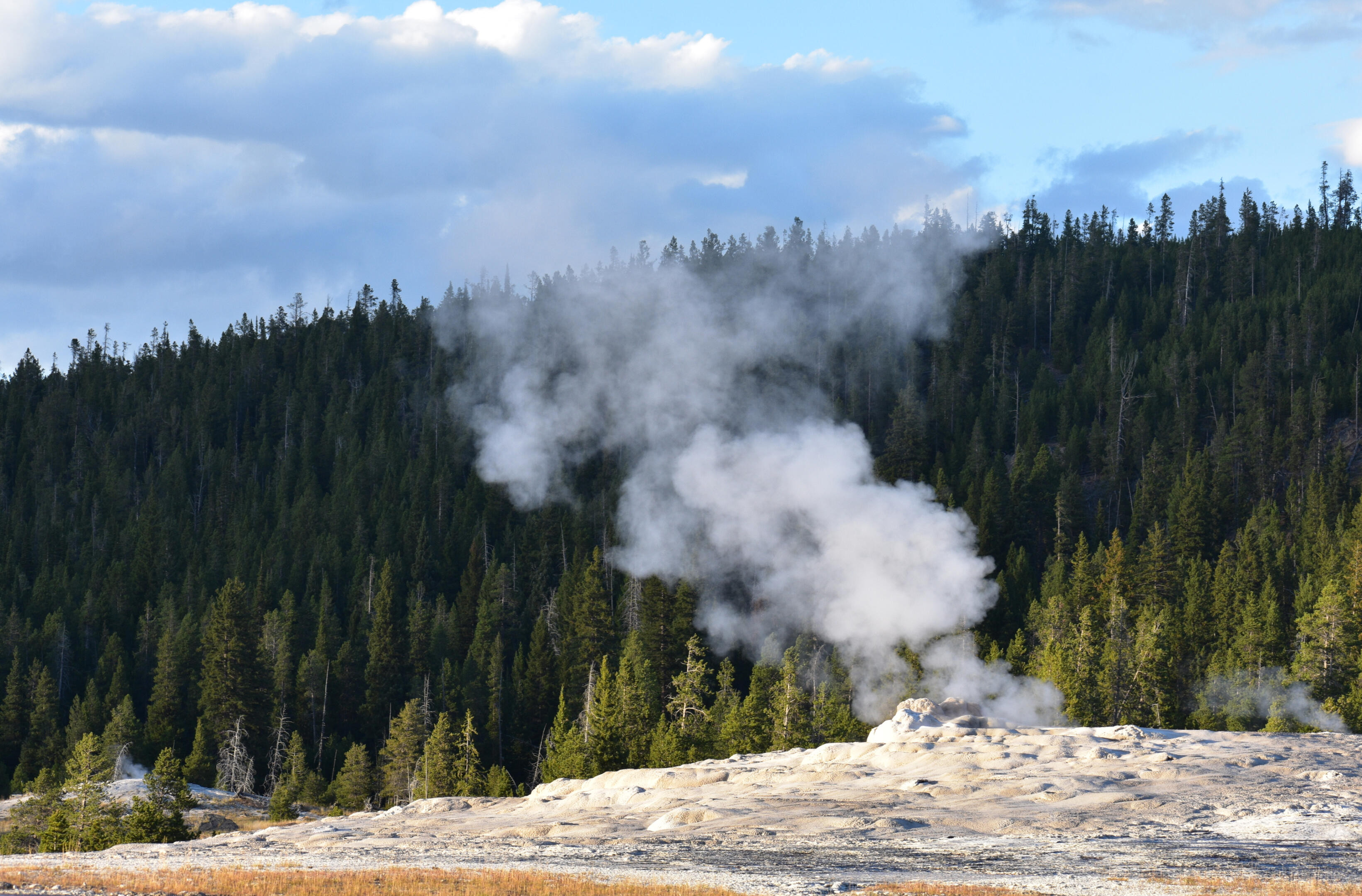 Yellowstone